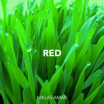 Red by Niklas Aman