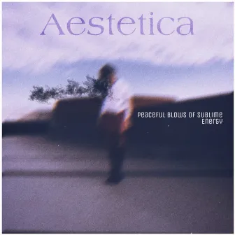 Peaceful Blows of Sublime Energy by Aestetica