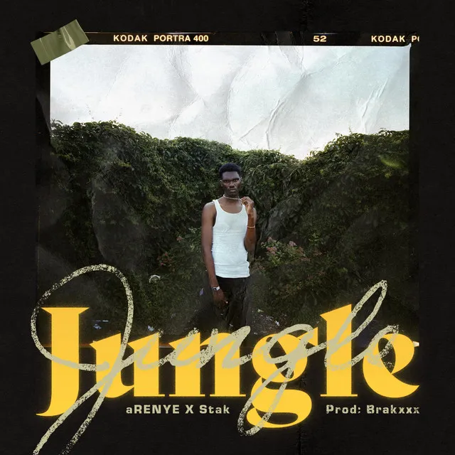 Jungle