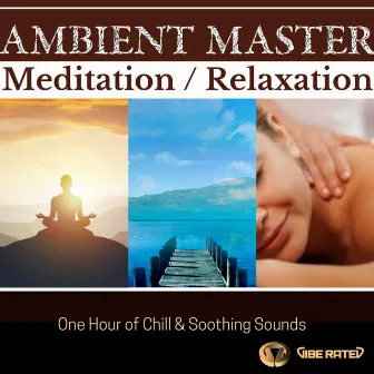 Meditation / Relaxation One Hour Of Chill And Soothing Sounds by Ambient Master