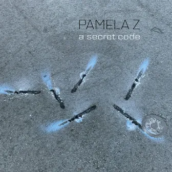 A Secret Code by Pamela Z