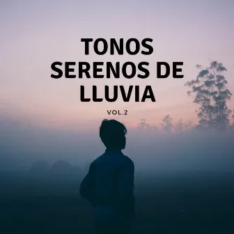 Tonos Serenos De Lluvia, Vol. 2 by ADN de naturaleza