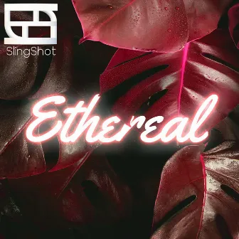 Ethereal by SlingShot