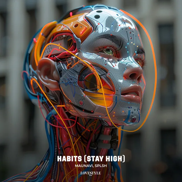 Habits (Stay High)