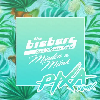 Minden A Miénk (Pixa Remix) by The Biebers