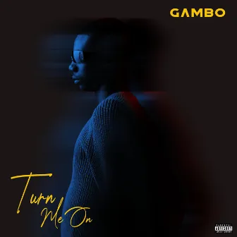 Turn Me On by Gambo