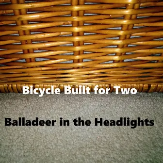 Bicycle Built for Two by Balladeer in the Headlights