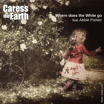 Where Does the White Go by Caress the Earth