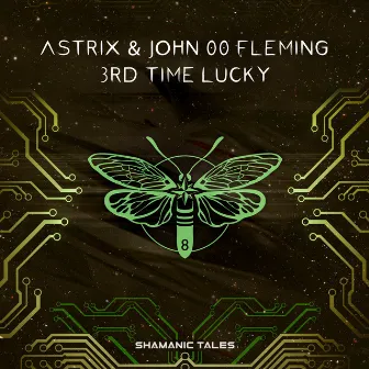 3rd Time Lucky by John Fleming