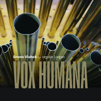 Vox Humana by Bruno Vlahek