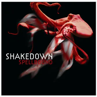 Spellbound by Shakedown