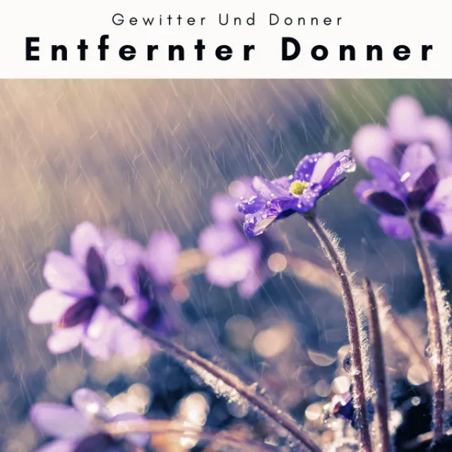 2022 Entfernter Donner