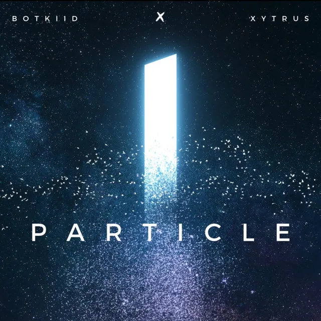 Particle