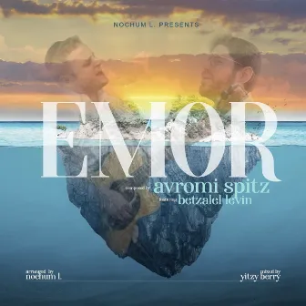 Emor by Avromi Spitz