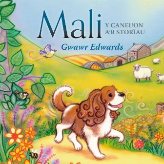 Mali (Y Caneuon a'r Storïau) by Gwawr Edwards