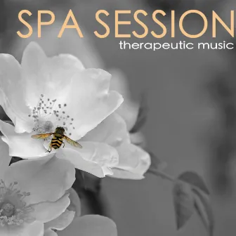 Spa Sessions - Therapeutic Music, Serenity Romantic Moods for Relaxing Bath with Natural Sounds by Unknown Artist