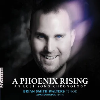 A Phoenix Rising by Brian Smith Walters