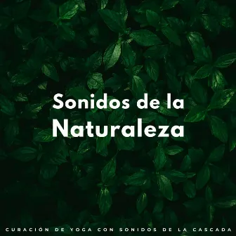 Sonidos De La Naturaleza: Curación De Yoga Con Sonidos De La Cascada by Yoga Meditación Música