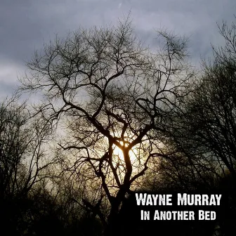 In Another Bed by Wayne Murray