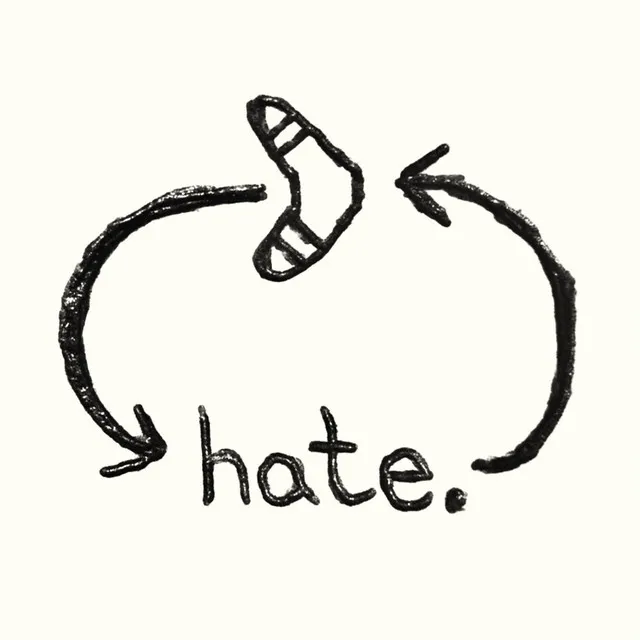 hate is nothing but a boomerang that comes back around to hurt the hater