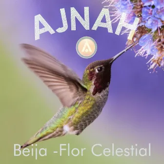 Beija-Flor Celestial by Ajnah