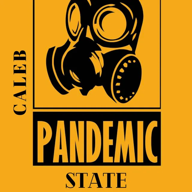 Pandemic State