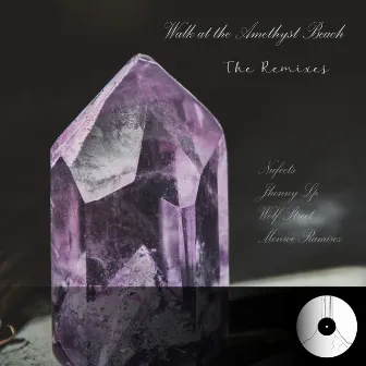 Walk at the Amethyst Beach (The Remixes) by Ressdan