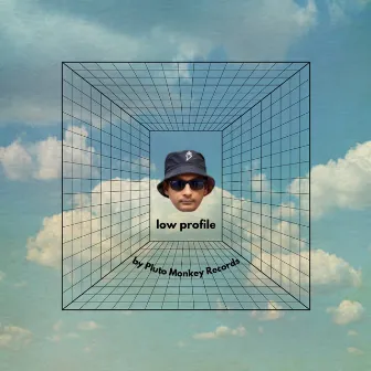 Low Profile by Pluto Monkey