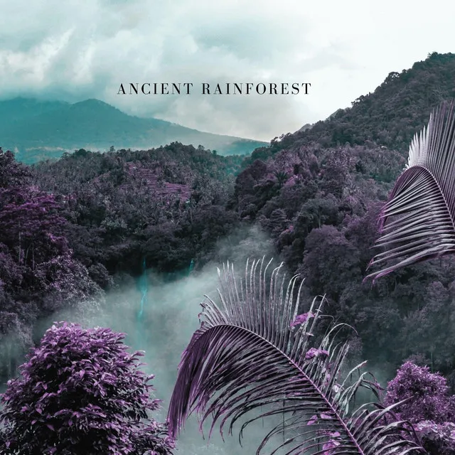 Ancient Rainforest