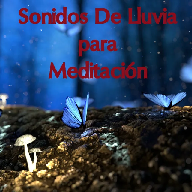 Ruido De Fondo De Lluvia (En Bucle, Sin Atenuarse)