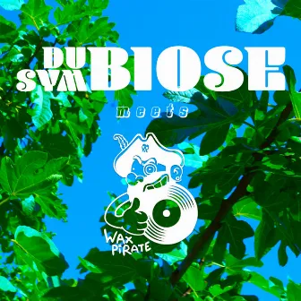 In mein Gortn (Dubiose Version) by Dubiose Symbiose