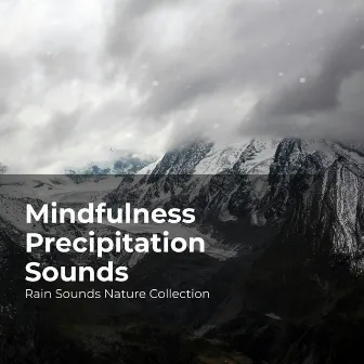 Mindfulness Precipitation Sounds by #Sleepy Rain