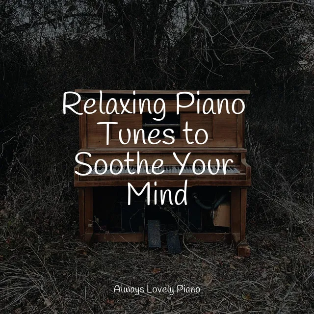 Relaxing Piano Tunes to Soothe Your Mind