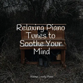 Relaxing Piano Tunes to Soothe Your Mind by Concentration Study