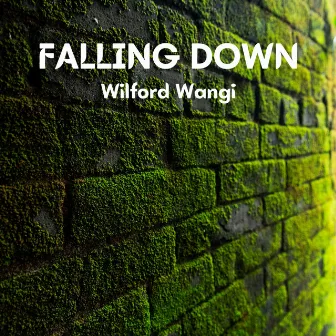 Falling Down by wilford wangi