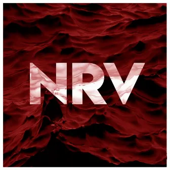 NRV by GFT