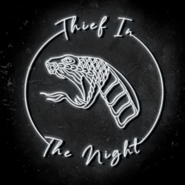 Thief In The Night