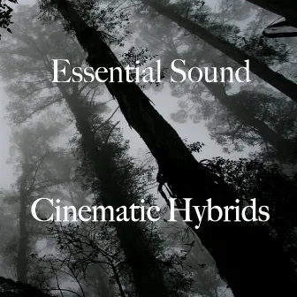 Essential Sound Cinematic Hybrids by Paul Gelsomine