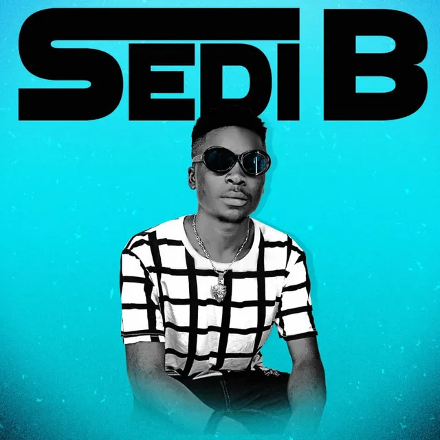 Sedi B