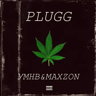 Plugg by YMHB