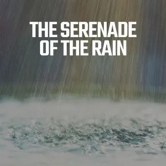 The Serenade of the Rain by Rain Lullaby