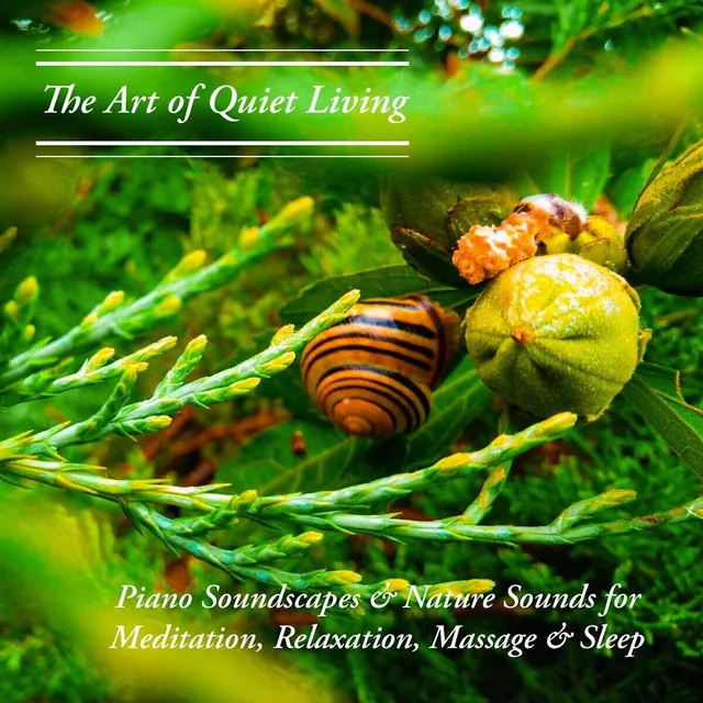 The Art of Quiet Living