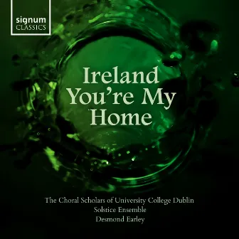 Ireland You're My Home by Desmond Earley