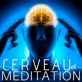 Cerveau et Meditation - Objet de Meditation, Meditation Anti Burn Out by Lounge Détente Vague