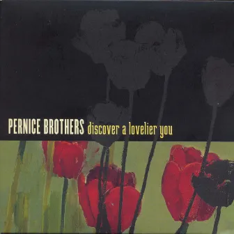 Discover A Lovelier You by Pernice Brothers