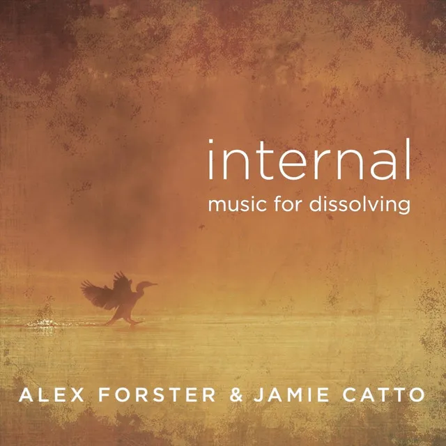 Internal (Music for Dissolving)