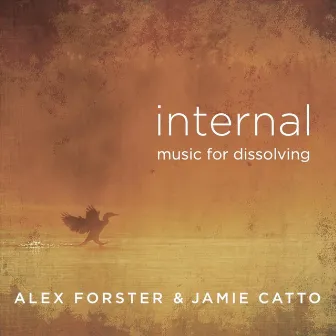 Internal (Music for Dissolving) by Jamie Catto