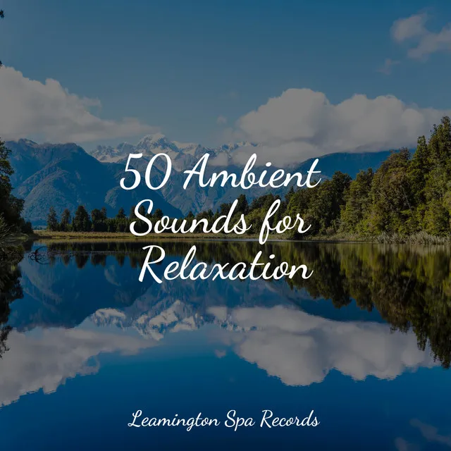 50 Ambient Sounds for Relaxation