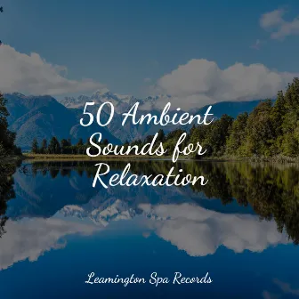 50 Ambient Sounds for Relaxation by Nature Sounds Collection