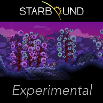 Starbound Experimental (Original Soundtrack) by Curtis Schweitzer